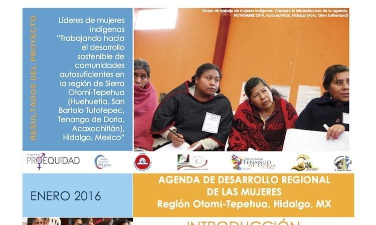 PSYDEH-Non-Profit-NGO-for-Women-in-Mexico-Post-1952-v001-compressor