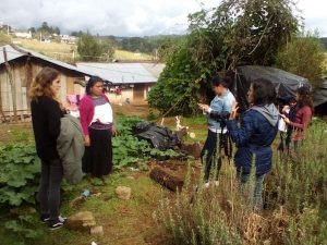 PSYDEH-Non-Profit-NGO-for-Women-in-Mexico-Post-2483-v002-compressor