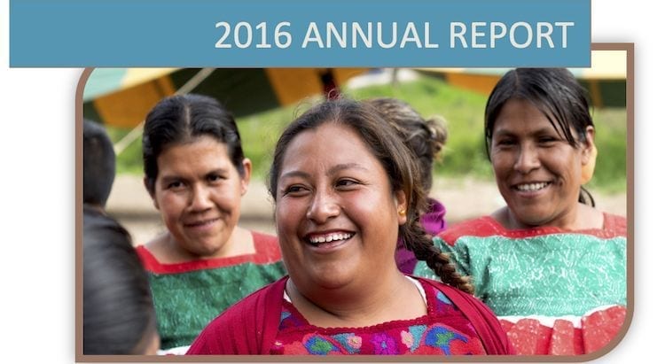 PSYDEH 2016 Annual Report