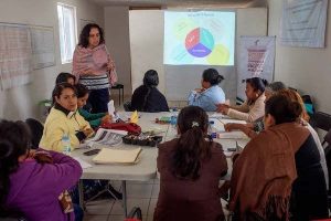 PSYDEH-Non-Profit-NGO-for-Women-in-Mexico-Post-3041-v007-compressor
