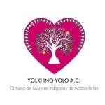 PSYDEH Non Profit NGO for Women in Mexico Women Organizations v008 compressor