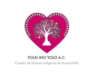 PSYDEH Non Profit NGO for Women in Mexico Women Organizations v008 compressor