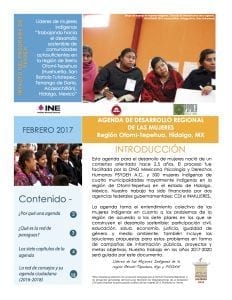 PSYDEH Non Profit NGO for Women in Mexico Women Regional Development Agenda v001 compressor