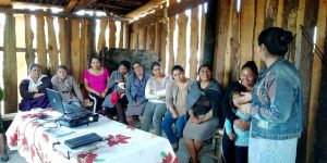 PSYDEH-Non-Profit-NGO-for-Indigenous-Women-in-Mexico