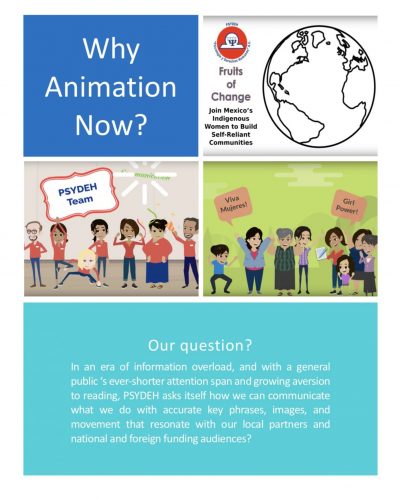White Paper, Why Animation Now?