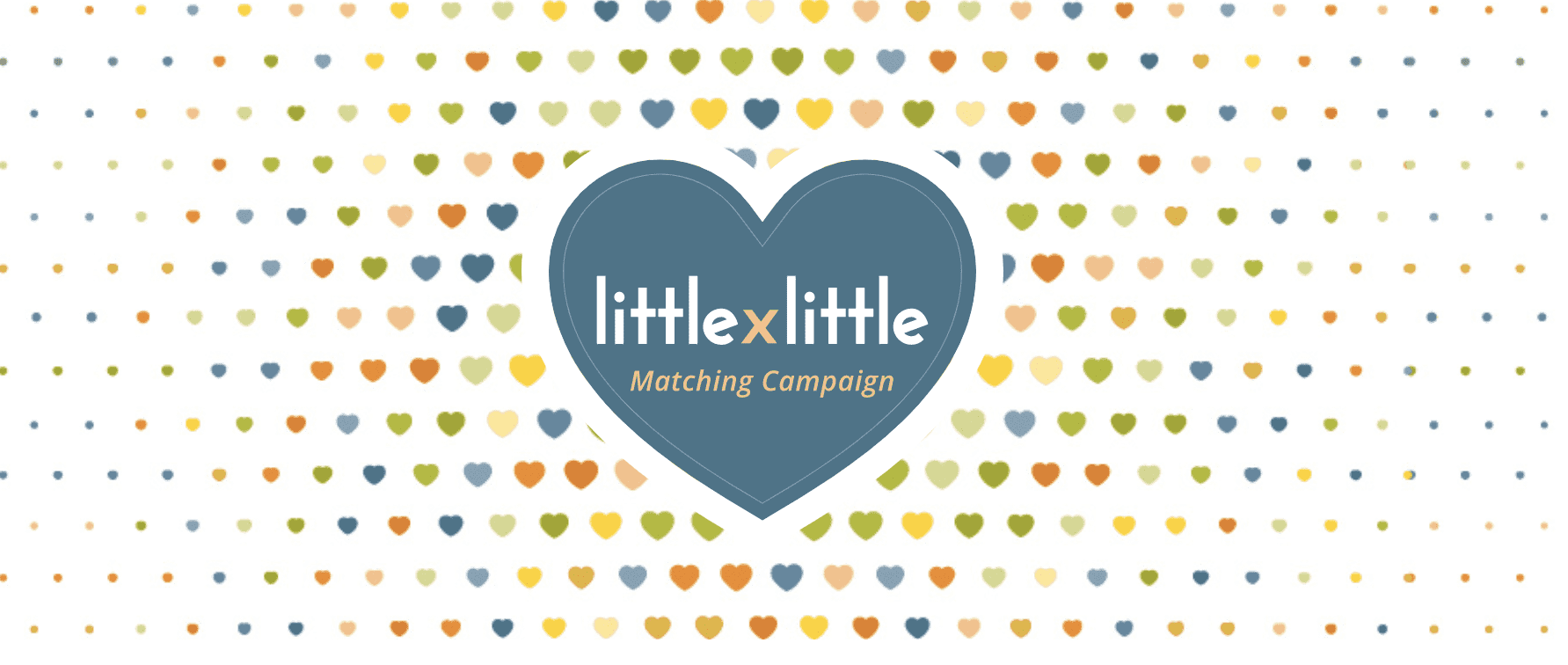 Little by Little Matching Campaign
