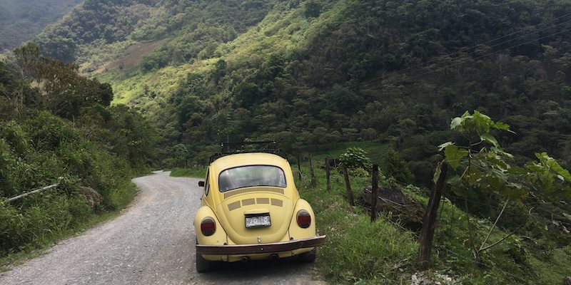 VW Bug driving on road through lush mountains